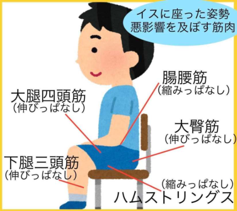 座りっぱなしによる筋肉への悪影響